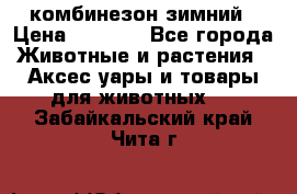 комбинезон зимний › Цена ­ 1 300 - Все города Животные и растения » Аксесcуары и товары для животных   . Забайкальский край,Чита г.